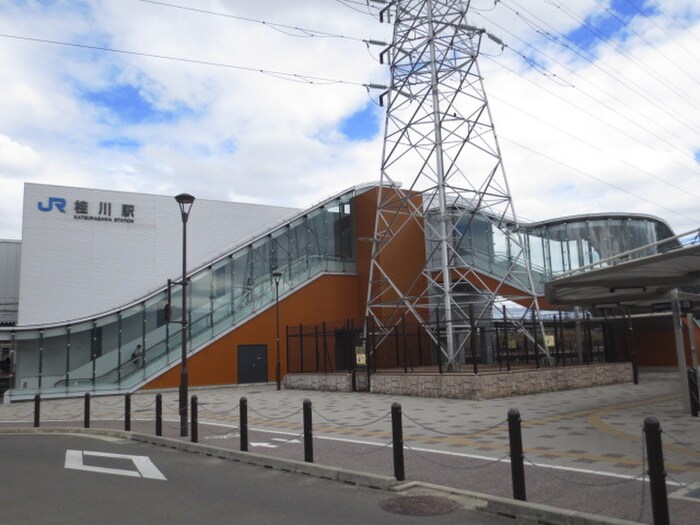 イオンモール京都桂川(デパート)まで1100m セジュ－ルＭＡＲＵＴＯ