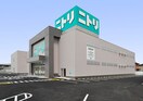 ニトリ(電気量販店/ホームセンター)まで100m ウエストハイツ