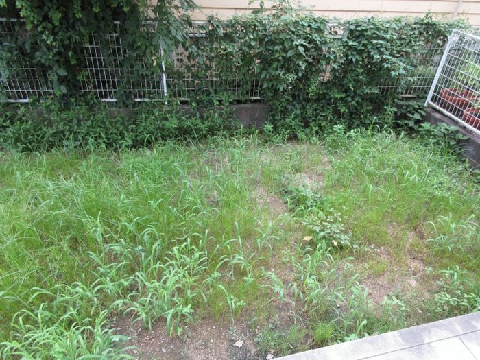 ベランダ・バルコニー ロイヤル三木