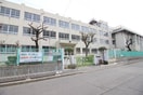 堺市立少林寺小学校(小学校)まで140m ルフレ堺