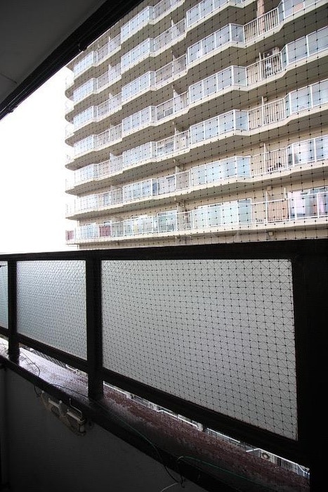 室内からの展望 グリーンハイツ