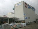 コーナン向日町大原野店(電気量販店/ホームセンター)まで900m レジデンス東向日