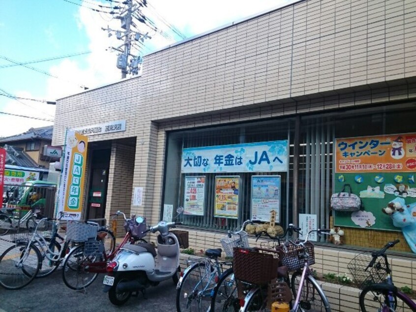 JA北河内(役所)まで900m ドリーム錦　走谷