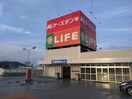 ライフ 高槻城西店(スーパー)まで130m 摂津ビル