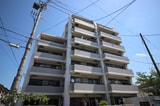 ジュネス堤