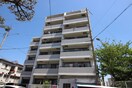 外観写真 ジュネス堤