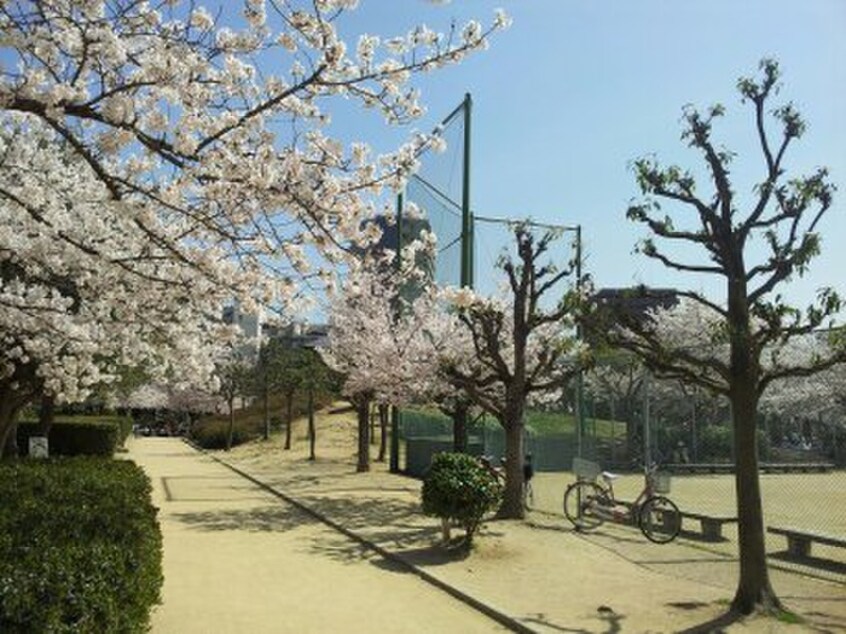 上ヶ池公園(公園)まで350m ハイツ西明石