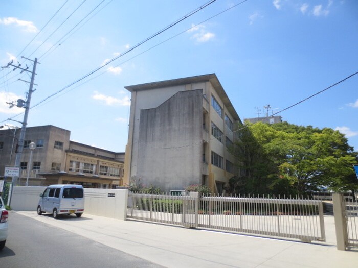 第三中学校(中学校/中等教育学校)まで880m モンテベルデ交野