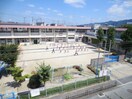 第二保育園(幼稚園/保育園)まで520m モンテベルデ交野