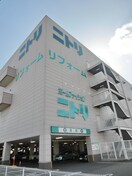 ニトリ(電気量販店/ホームセンター)まで500m ブエナビスタ京都上鳥羽