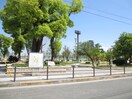 真田山公園(公園)まで50m ラ・フェスタ真田山