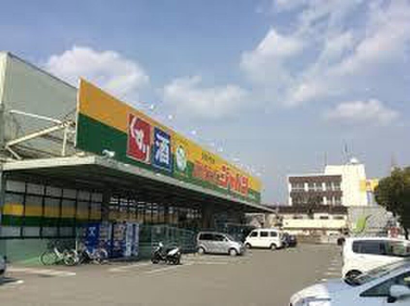 ジャパン尼崎元浜店(ディスカウントショップ)まで750m ルキア武庫川
