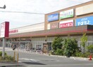 イオン加古川店(スーパー)まで1800m エクセル東加古川壱番館