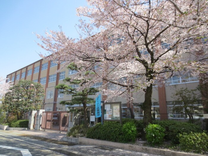 京都市立樫原小学校(小学校)まで450m ライトハウス