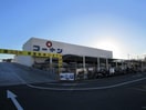 コーナン(電気量販店/ホームセンター)まで750m プレコート上鳥羽