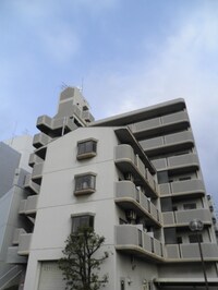 ジョイスクエアー成育