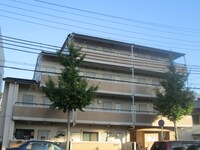 アンピエスぜん