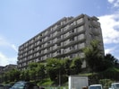 ハイロイヤル緑地公園Ａ棟(203)の外観