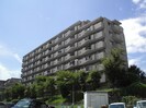 ハイロイヤル緑地公園Ａ棟(203)の外観