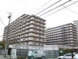 江坂江の木公園ｽｶｲﾊｲﾂ(819)