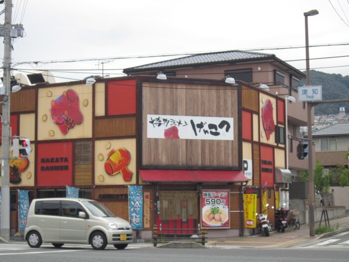 げんこつラーメン(その他飲食（ファミレスなど）)まで250m ペリウィンクル