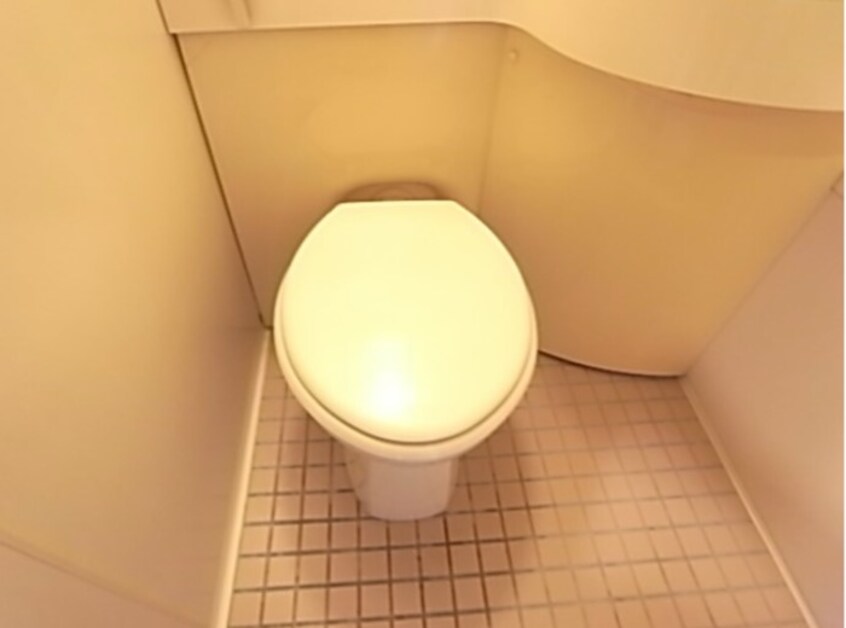 トイレ ﾀﾞｲｱﾊﾟﾚｽ西神戸(1003)