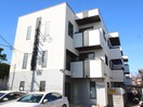 その他 チェリ－コ－ト
