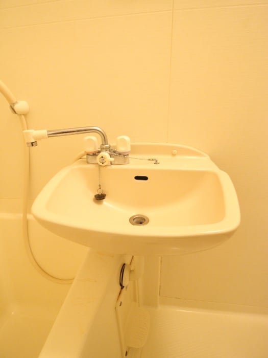 洗面 パレスサイト