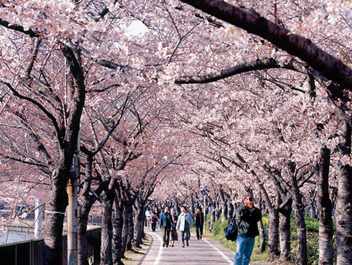 桜ノ宮公園(公園)まで100m エスポワ－ル桜の宮