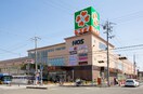 ライフ八戸ノ里店(スーパー)まで550m クレアール八戸ノ里