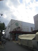 ライフ 茨田大宮店(スーパー)まで473m シロハイヌ門真