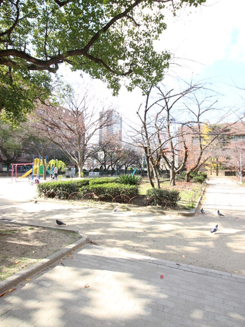 公園(公園)まで355m アネスト北堀江