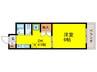 ラシーテ 1DKの間取り