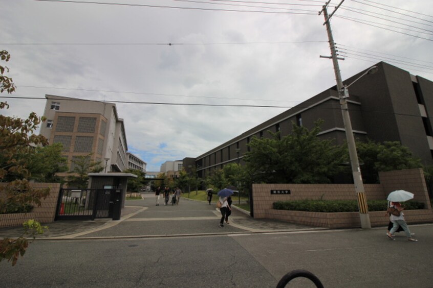 関西大学堺キャンパス(大学/短大/専門学校)まで300m フジパレス堺香ヶ丘ノース