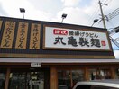 丸亀製麺(その他飲食（ファミレスなど）)まで350m サンライズエコー