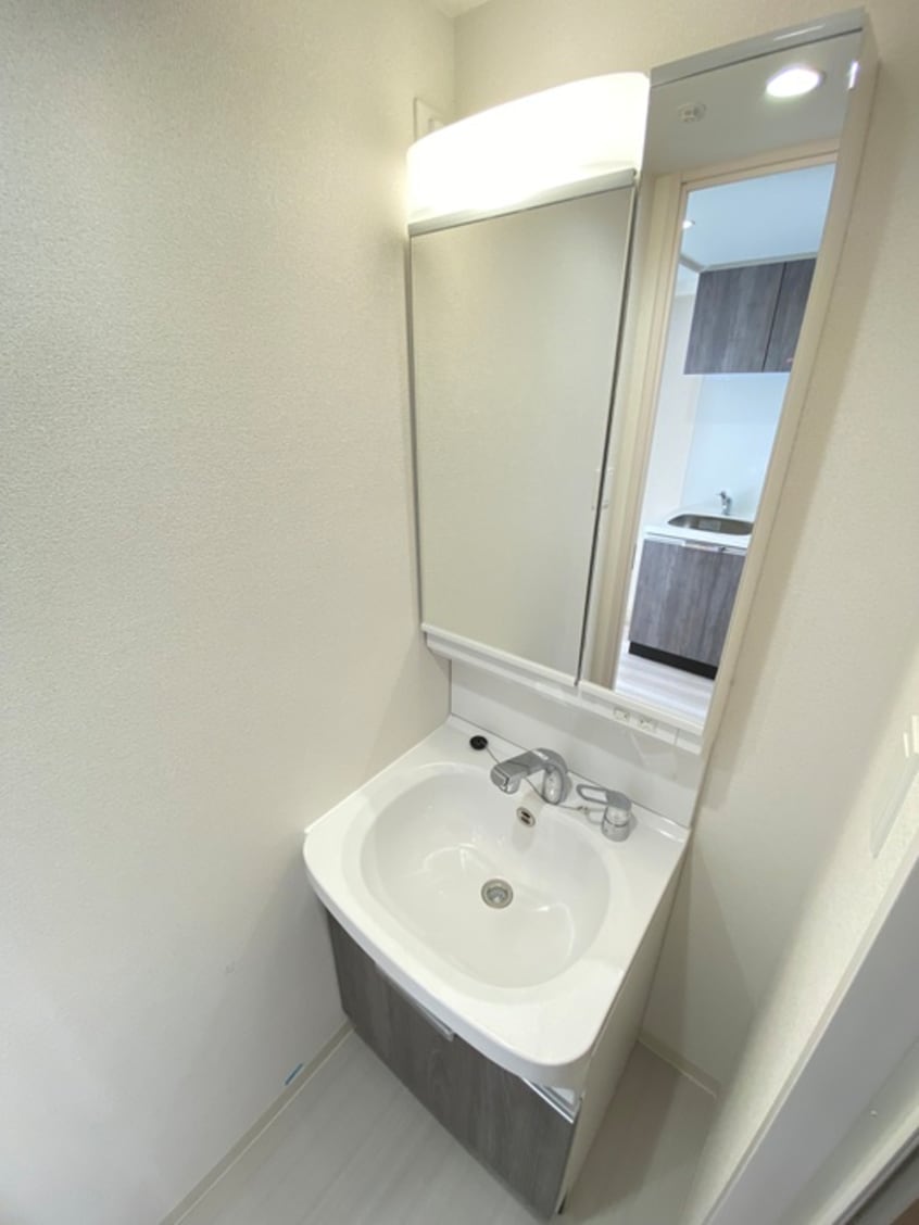 洗面 ﾌﾟﾚｻﾝｽTHE　KYOTO吉祥院（709）