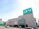 ニトリ(電気量販店/ホームセンター)まで1000m ドミ－ル小松里