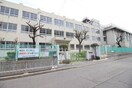 堺市立少林寺小学校(小学校)まで220m 中之町東貸家