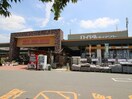 ロイヤルホームセンター(電気量販店/ホームセンター)まで300m ﾊｲﾂﾊﾗﾀﾞ