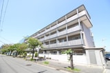アルファフレグランス