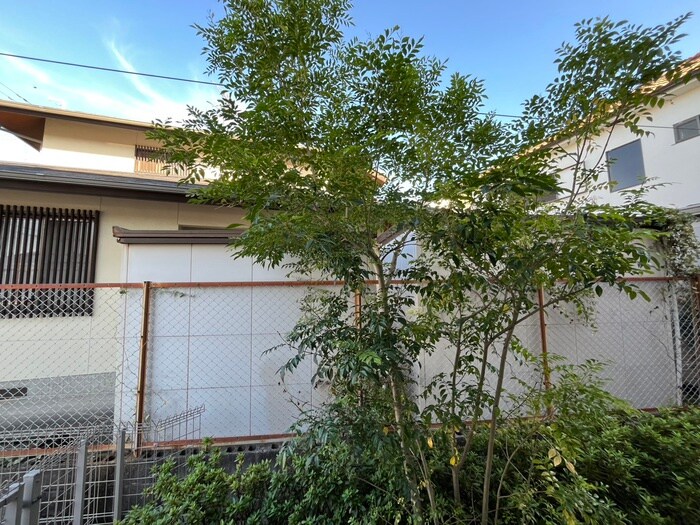 室内からの展望 メゾン　ド　ソレイユ