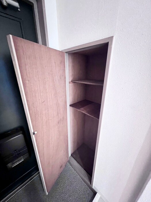 靴箱 フレームコート43