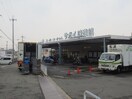 サボイ味道館(スーパー)まで100m ハイツ藤原5