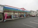 シルク(ドラッグストア)まで100m ハイツ藤原5