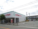 スギ薬局(ドラッグストア)まで140m シャロームナカムラ３番館　北棟
