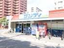 サンディ(スーパー)まで236m サンモール西京極