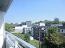 室内からの展望 プランツ緑地