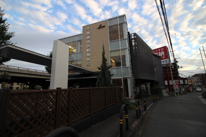 千里山動物病院(病院)まで258m プランツ緑地