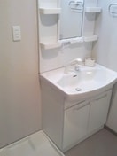 洗面 パレスマイセン