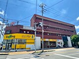 エレガンスくみの木